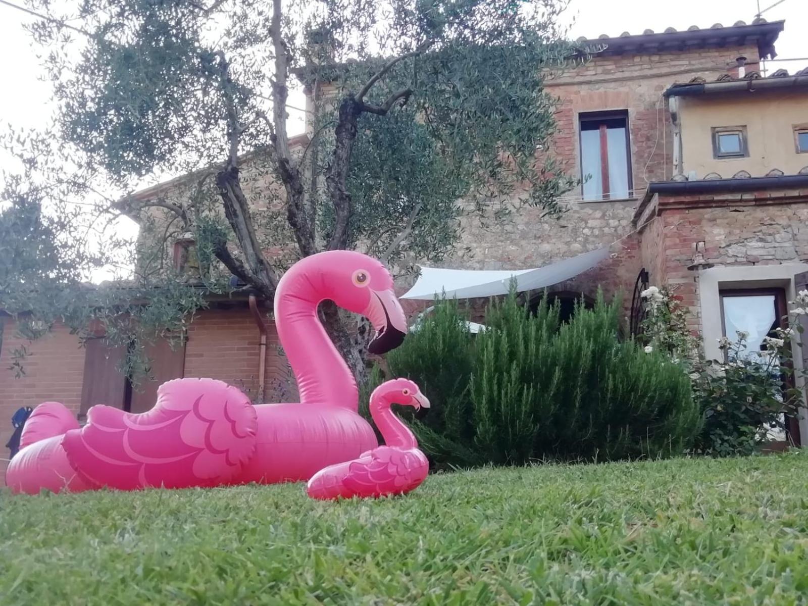 Agli Olivi Di Marciano Apartment Siena Exterior foto